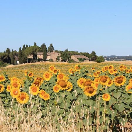 Il Poggio B&B Ginestra Fiorentina Exterior foto