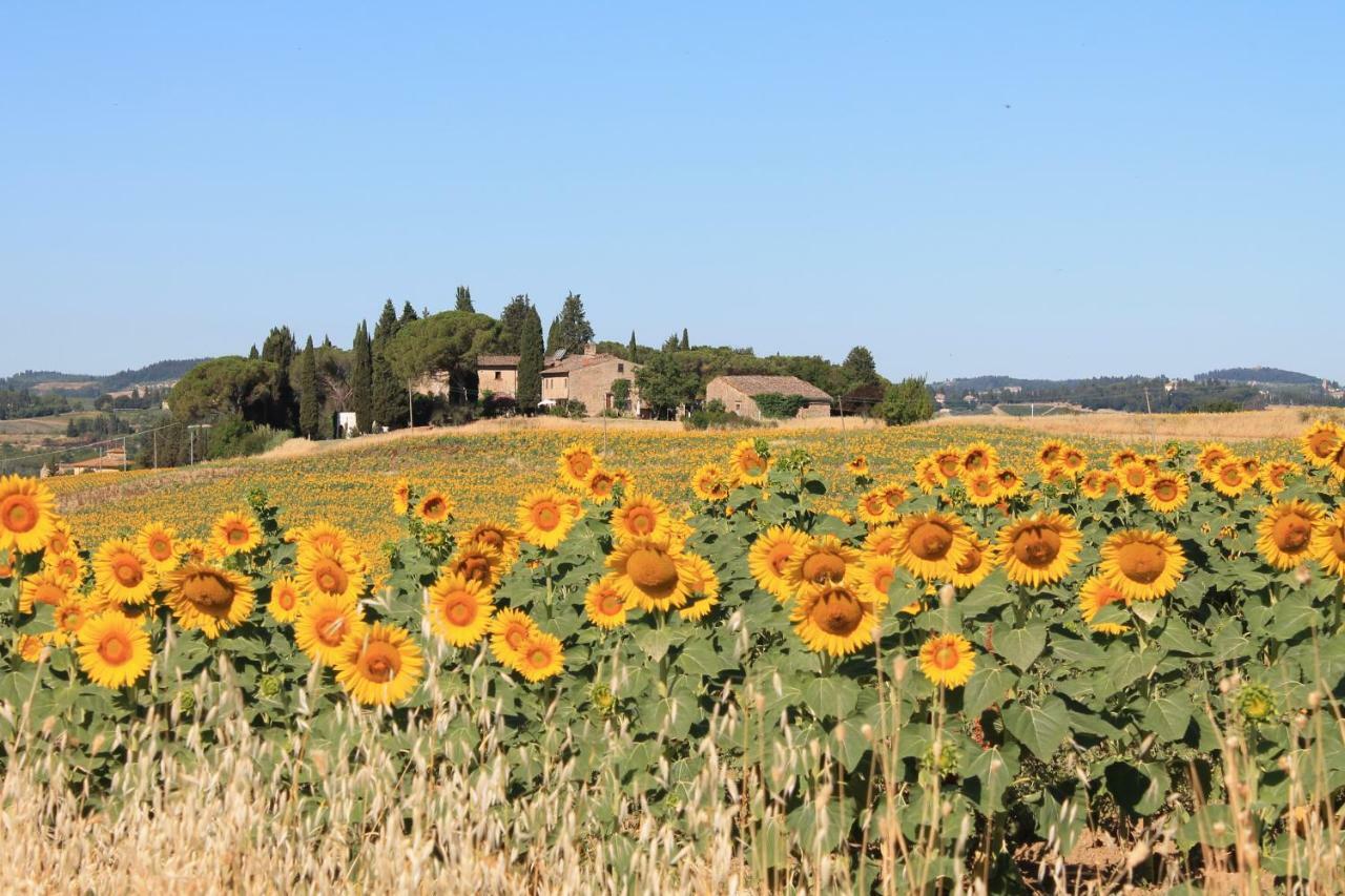 Il Poggio B&B Ginestra Fiorentina Exterior foto